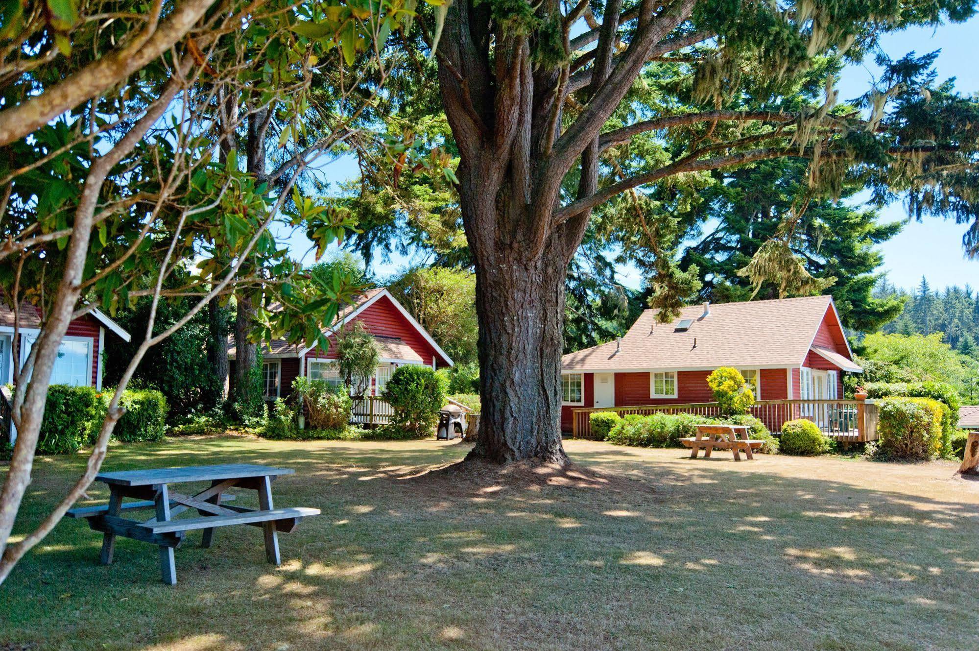 View Crest Lodge Trinidad Exterior photo